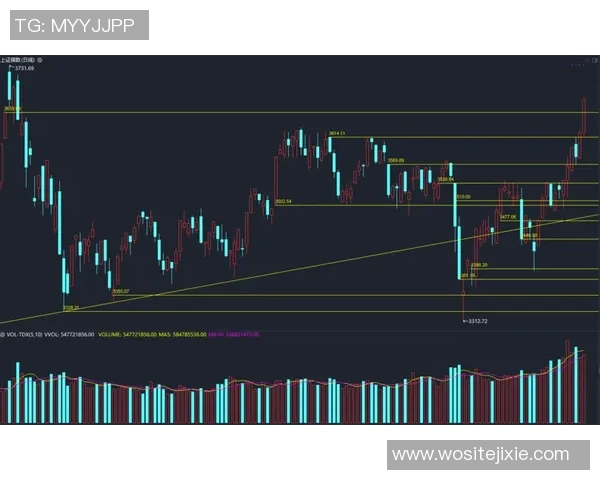武汉足球队与上海足球队的赛后复盘与比赛节奏分析